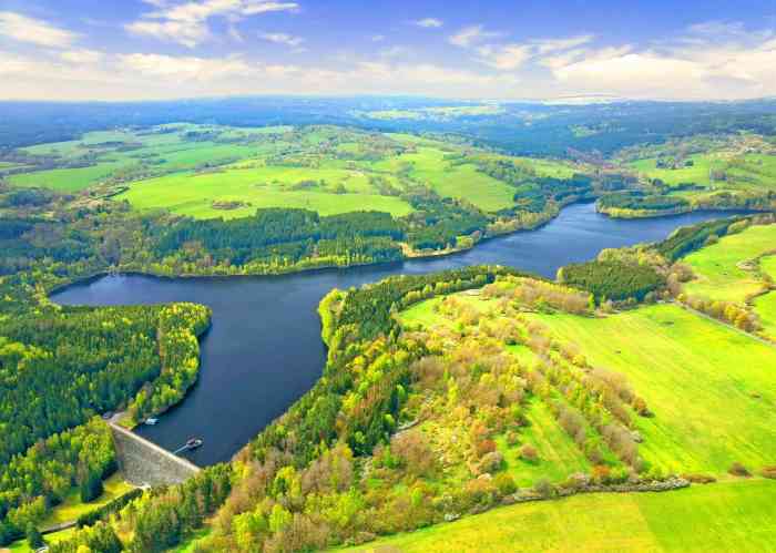 region-cesky-les.jpg