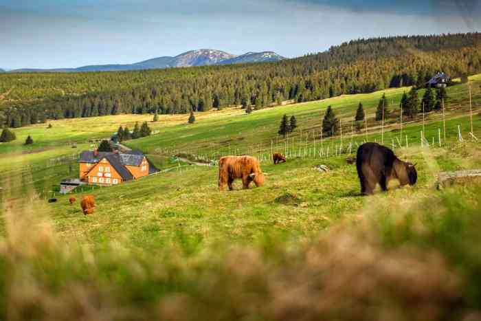 region-krkonose.jpg