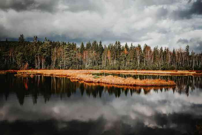 region-sumava.jpg