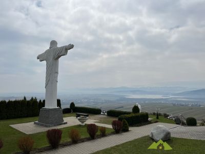 Test na mobile, IMG_4983.jpeg